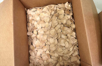 The Studio Punch Checklist – ...